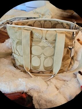 USED✨️Coach Signature Canvas Tote Bag in Khaki